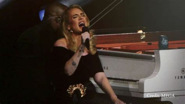 Adele Encourages Fans To ‘Go Order Some Drinks’ At Her Show: ’Drunker The Better’