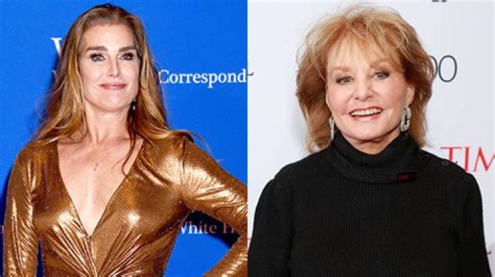 Brooke Shields Felt ‘Taken Advantage Of’ In Barbara Walters Interview – Hollywood Life