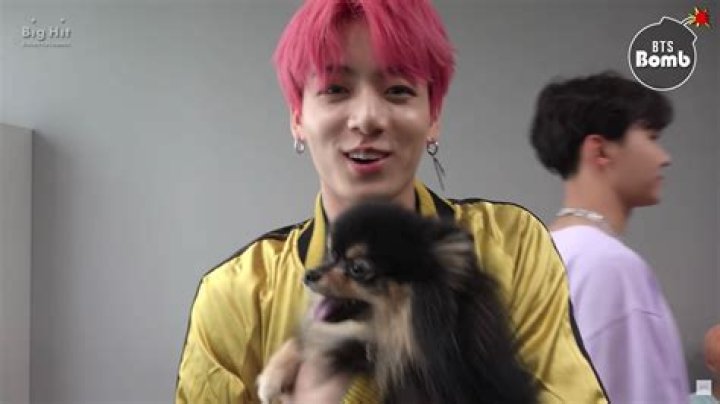 BTS Plays With V’s Dog Yeontan In Cute New Video & Fans Are Swooning – Watch