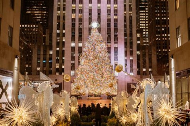 Cher’s ‘Christmas in Rockefeller Center’ Performance Outfit: Photos – Hollywood Life