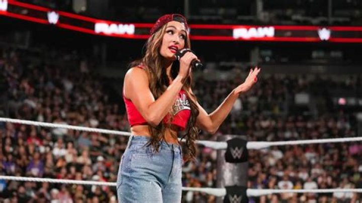 Nikki Bella Rocks Her Wrestling Outfit With Baby Bump In New Pic – Hollywood Life