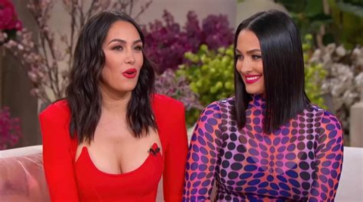 Nikki & Brie Bella Reveal How They’re Giving Back To Other Expecting Moms In Place Of A Baby Shower
