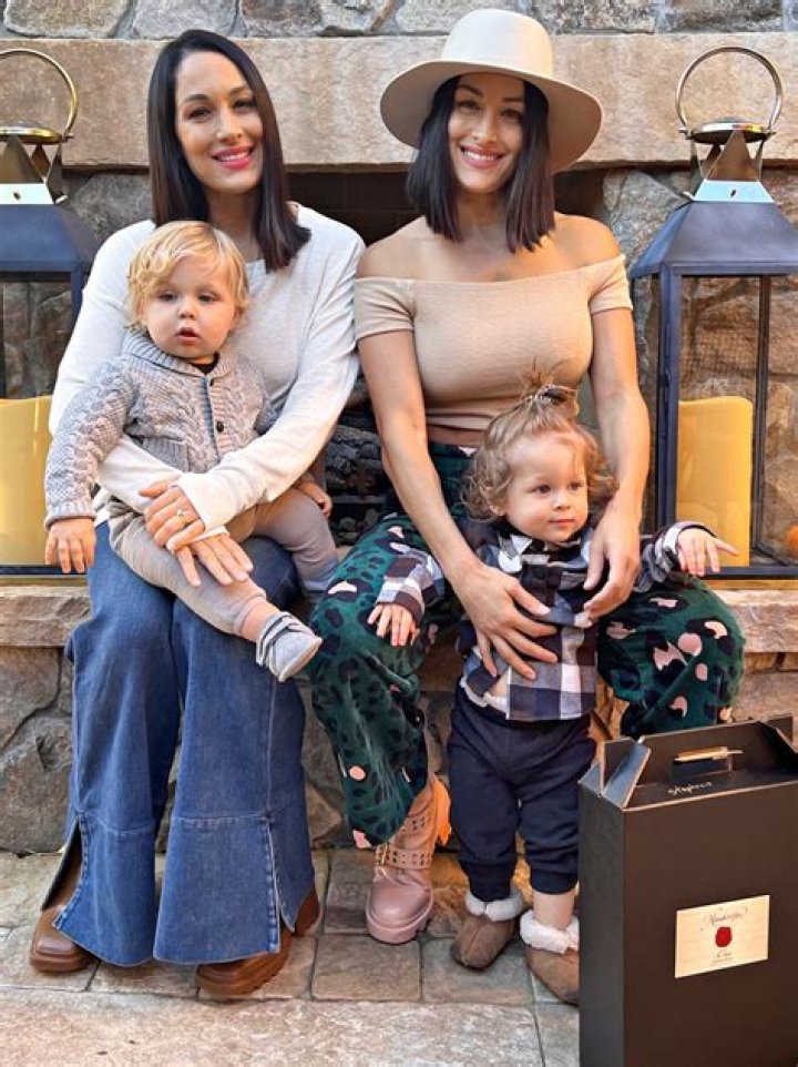 Nikki & Brie Bella Show Off Their 9-Month Bumps As Twin Sisters Eagerly Await Arrival Of Their Babies