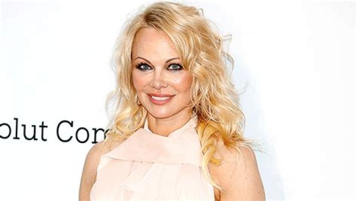 Pamela Anderson Calls Into Interview While Still In Bed With Her New Husband Dan Hayhurst: Watch