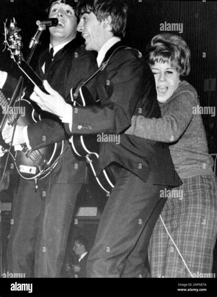 Photos Of The Beatle – Hollywood Life