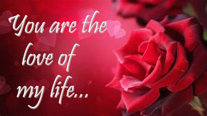 Releases Statement — ‘You Are The Love Of My Life’ – Hollywood Life