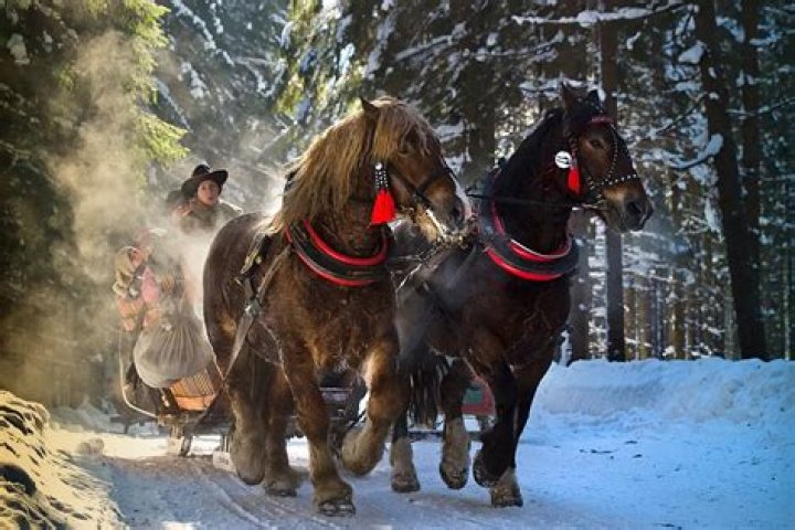 Sofia Richie, Rebel Wilson & More Celebs Playing Outside In The Snow – See Pics