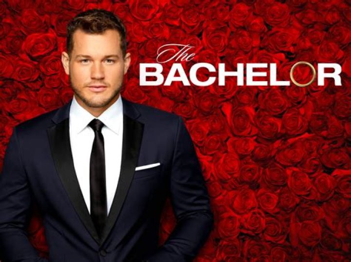 ‘The Bachelor’ Season 23 — PICS