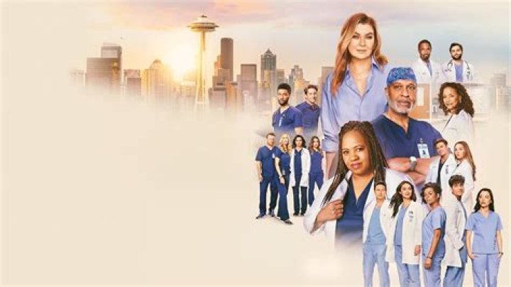 The ‘Grey’s Anatomy Connection Between Two Co-Stars – Hollywood Life