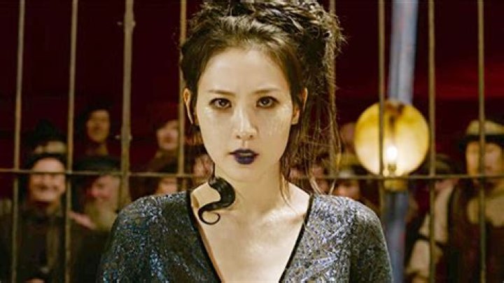 Who Is Nagini? Everything To Know About ‘Fantastic Beasts’ Character – Hollywood Life